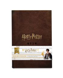 Harry Potter Playing Card Collector Set 